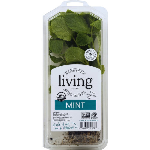 North Shore Living Herbs Mint
