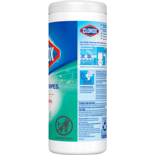 Clorox 3-in-1 Fresh Scent