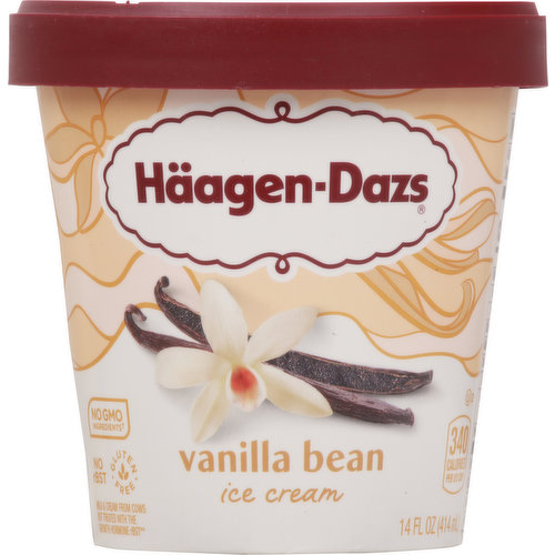 Haagen-Dazs Ice Cream, Vanilla Bean