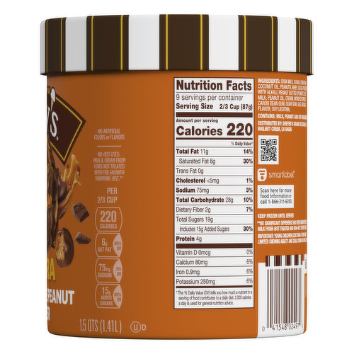 Dreyer's Frozen Dairy Dessert, Extra Chocolate Peanut Butter