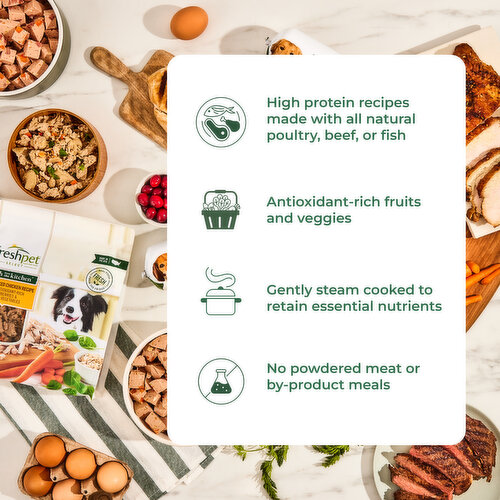 Freshpet Healthy & Natural Dog Food, Fresh Chicken Roll, 6lb