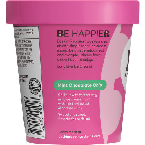 Boardwalk Mint Chocolate Chip Ice Cream