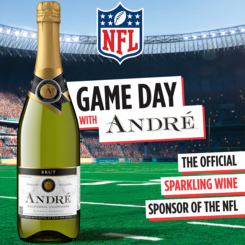 Andre Brut California Champagne Sparkling Wine 750ml