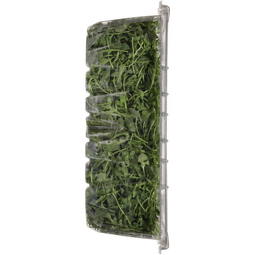 Sun Harvest Arugula, Organic