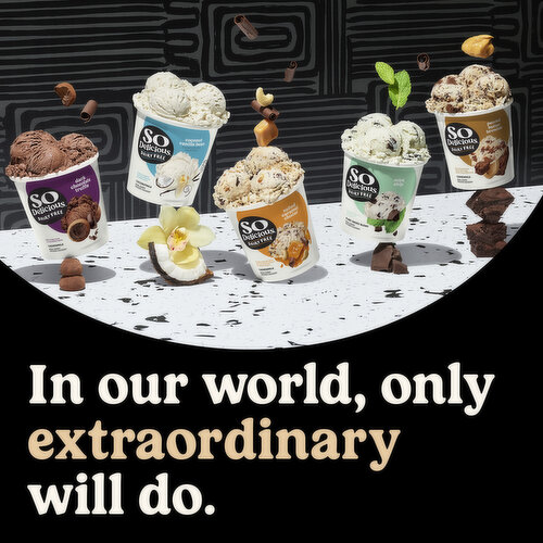 So Delicious Dairy Free Non-Dairy Cashewmilk Bananas Foster Frozen Dessert