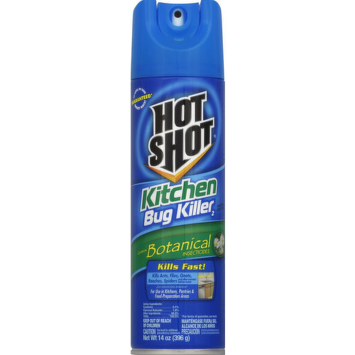 Hot Shot Bug Killer 2, Kitchen