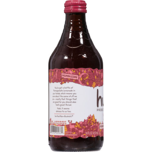 Humm Kombucha, Probiotic, Pomegranate Lemonade