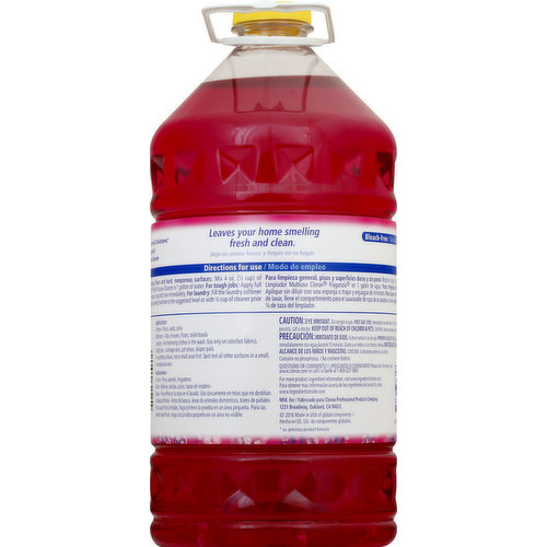 Clorox Multi-Purpose Cleaner, Spring