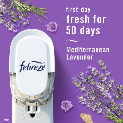 Febreze Plug In Air Freshener Scented Oil Refill Med Lavender