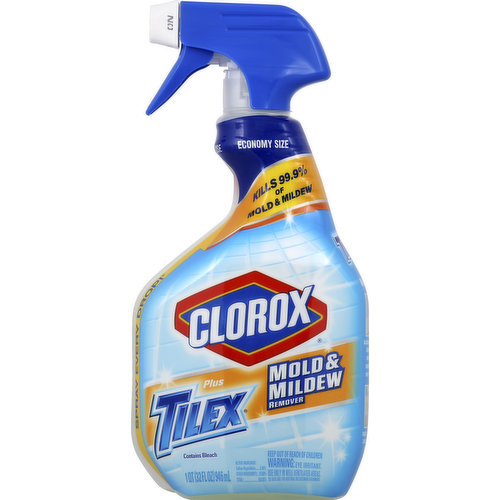 Clorox Mold & Mildew Remover, Economy Size