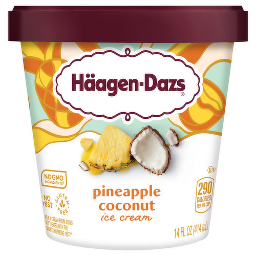 Haagen-Dazs Ice Cream, Pineapple Coconut