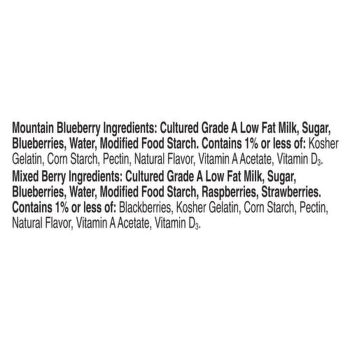 Yoplait Low Fat Blueberry/Mixed Berry Yogurt