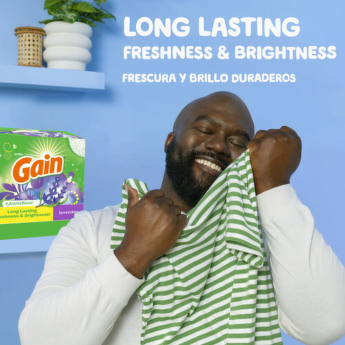Gain Powder Laundry Detergent, Lavender, 123 OZ