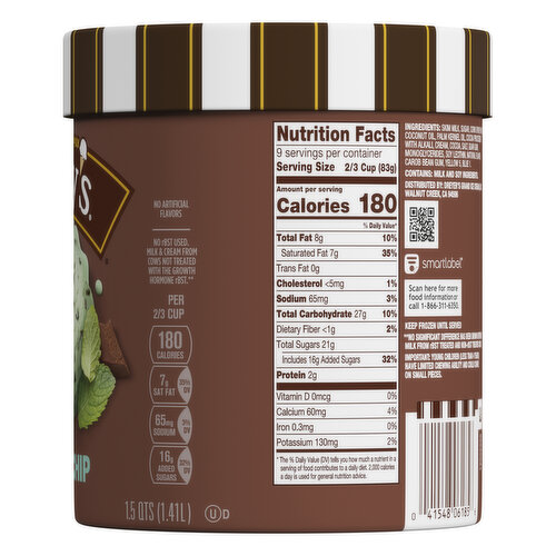 Dreyer's Frozen Dairy Dessert, Mint Chip