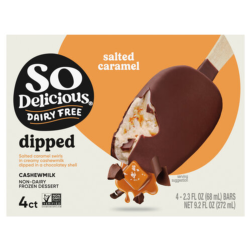 So Delicious Dairy Free Non-Dairy Cashewmilk Dipped Salted Caramel Frozen Dessert