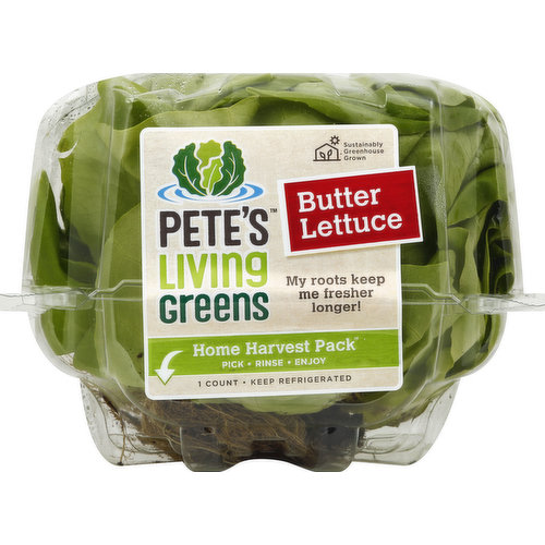 Petes Living Greens Butter Lettuce, Home Harvest Pack