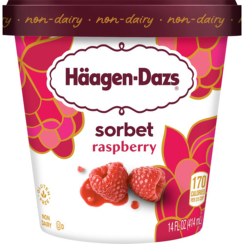 Haagen-Dazs Sorbet, Raspberry