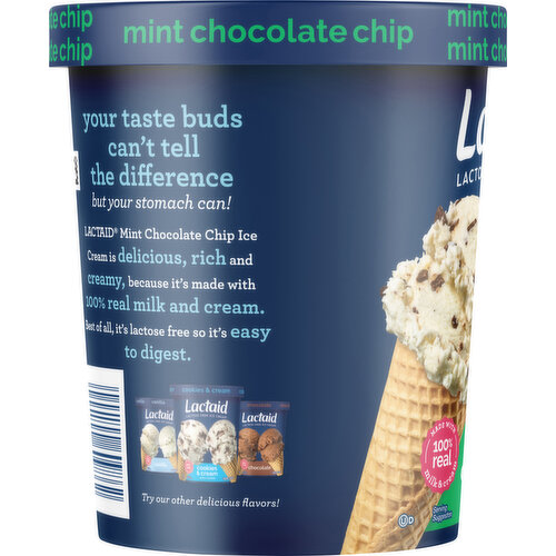 Lactaid Lactose Free Mint Chocolate Chip Ice Cream
