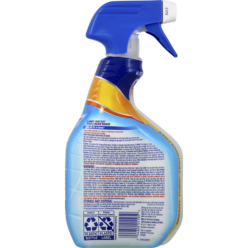 Clorox Mold & Mildew Remover, Economy Size