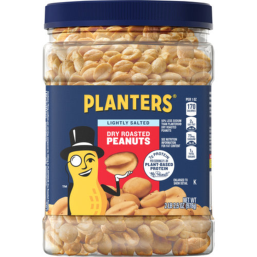 Planters Peanuts, Dry Roasted, Lightly Salted