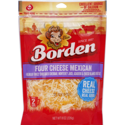 Borden Cheese, Four Cheese Mexican