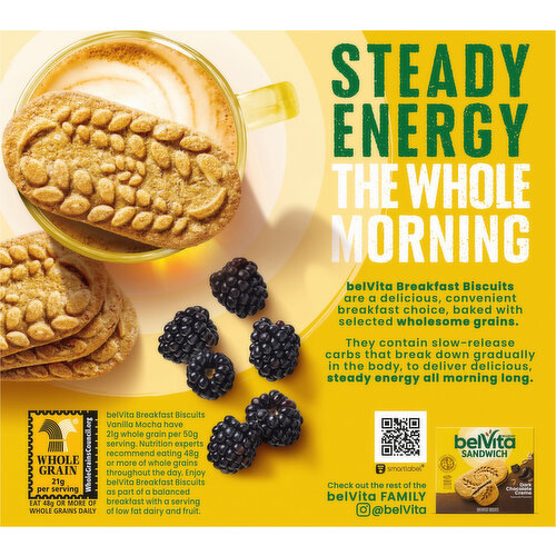 belVita Crunchy Vanilla Mocha Breakfast Biscuits