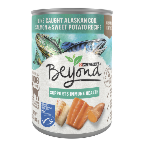 Beyond Grain Free Salmon & Potato Wet Dog 13 oz