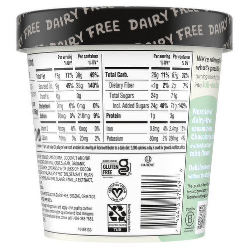 So Delicious Dairy Free Non-Dairy Coconutmilk Mint Chip Frozen Dessert
