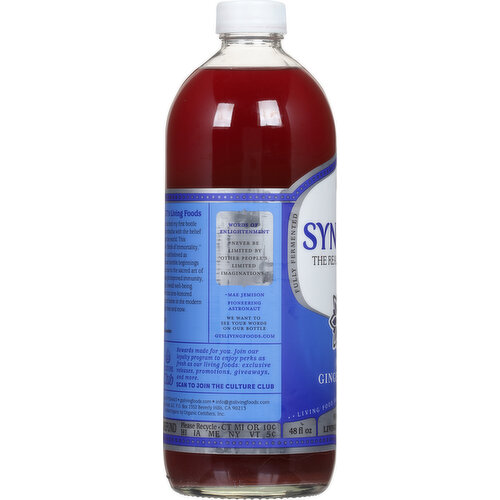 Synergy Kombucha, Gingerberry