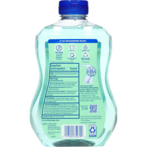 Dial Antibacterial Defense Fresh Pear Scent Hand Wash + Aloe