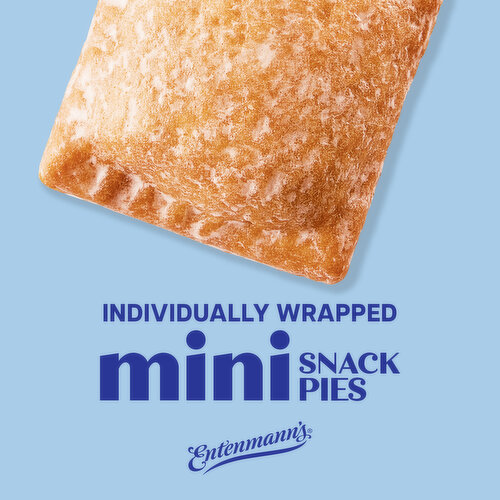 Entenmann's Apple Mini Snack Pies, 6 packs, 12 oz