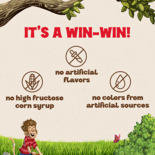 Danimals Strawberry Banana Kids Low Fat Yogurt Smoothies