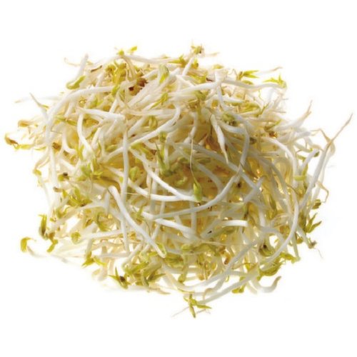 Alfalfa/Claver Sprouts