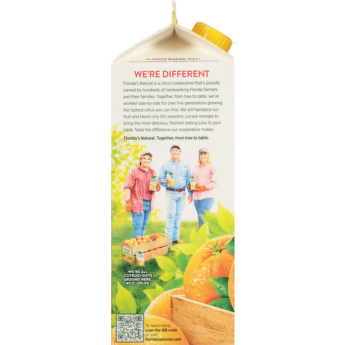 Florida's Natural Orange Juice, 100% Premium, Most Pulp