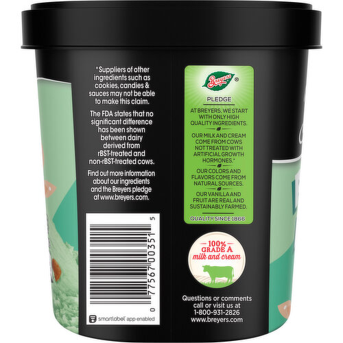 Breyers Frozen Dairy Dessert, Pistachio Almond