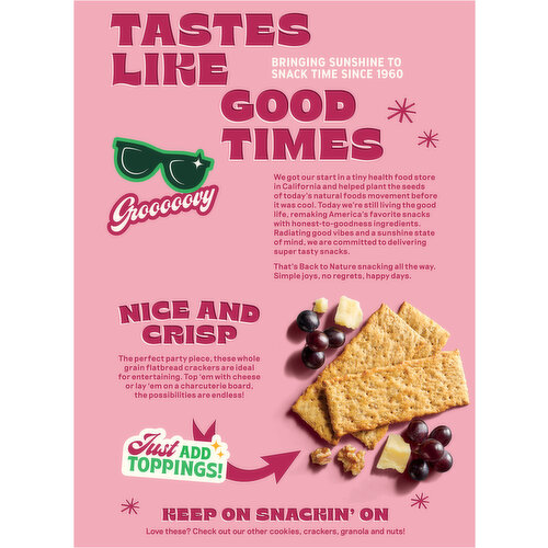 Back to Nature Pink Himalayan Salt Flatbread Crackers