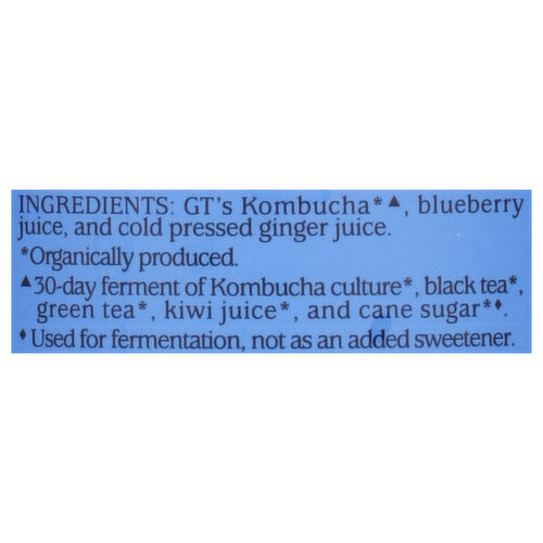 Synergy Kombucha, Gingerberry