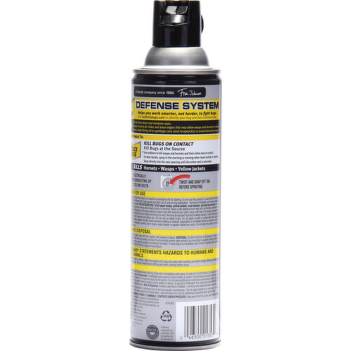 Raid Spray for Hornet and Wasp , 33