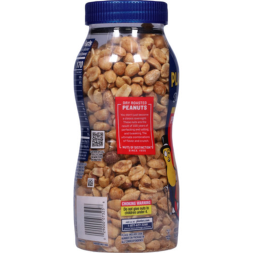 Planters Peanuts, Dry Roasted, Salted