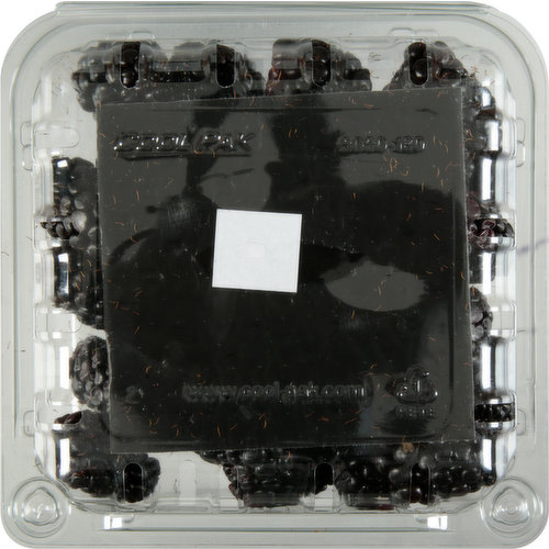 Berry Fresh Blackberries