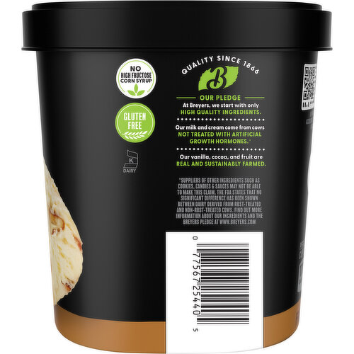 Breyers Butter Pecan Frozen Dairy Dessert