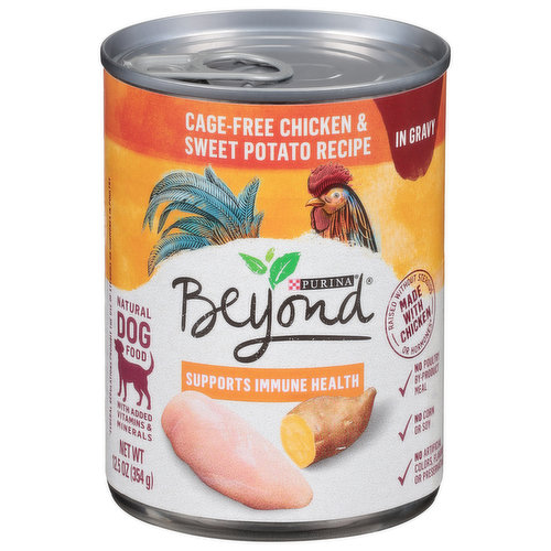 Purina Dog Food, Natural, Cage-Free Chicken & Sweet Potato Recipe, in Gravy