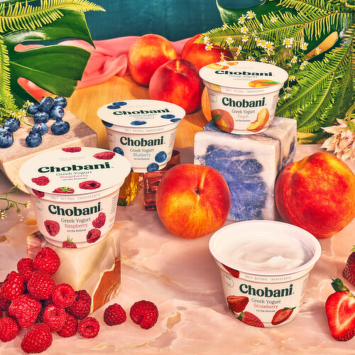Chobani Yogurt, Nonfat, Greek, Black Cherry on the Bottom