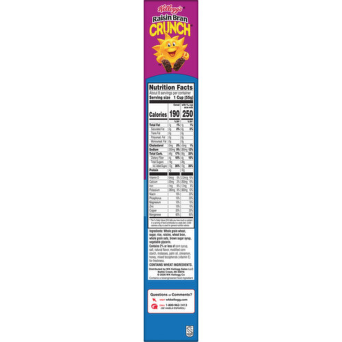 Raisin Bran Crunch Cereal Image 4 of 6
