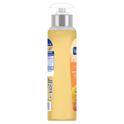 Softsoap Liquid Antibaterial Soap Pump