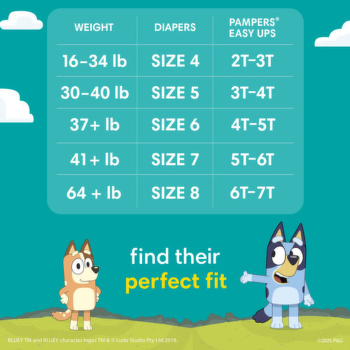 Pampers Easy Ups Training Underwear Boys Size 6 4T5T