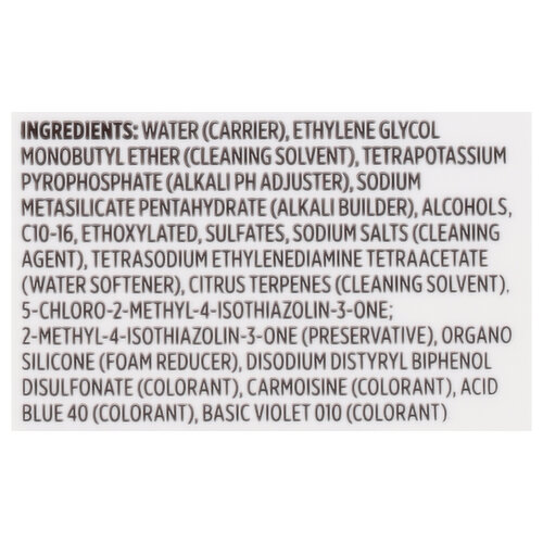 First Street Carpet Cleaner, Extraction, Commercial Grade