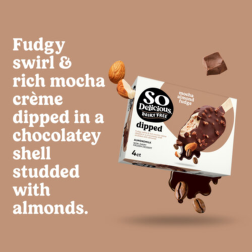 So Delicious Dairy Free Non-Dairy Almondmilk Dipped Mocha Almond Fudge Frozen Dessert