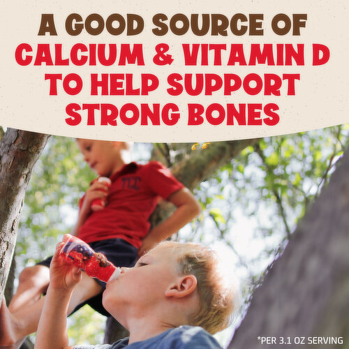 Danimals Paw Patrol Mixed Berry/Strawberry Smoothie