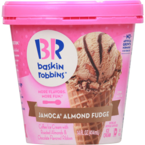 Baskin Robbins Ice Cream, Jamoca Almond Fudge